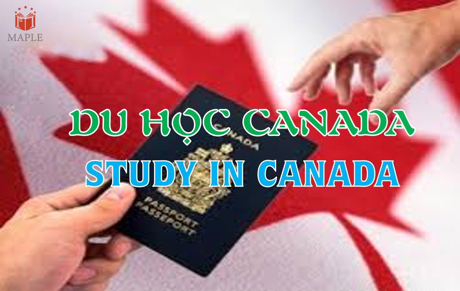 Canada consulate's visa processing time