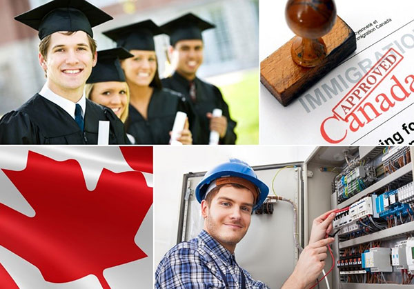 How to work and settle in Canada?